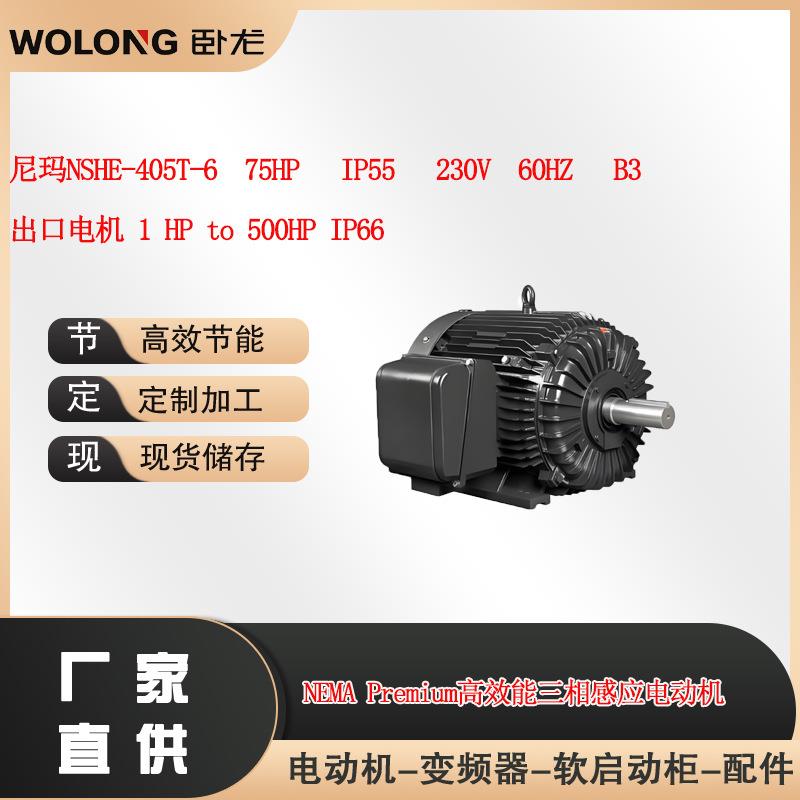 卧龙尼玛NSHE-405T-675HPIP55460V60HZ出口电机