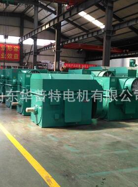 山东厂家Y高压电动机315w355wIP55出口朝鲜全铜线圈