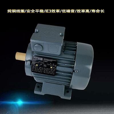 VEM卧式三相异步电机21R80G4HB30.75W