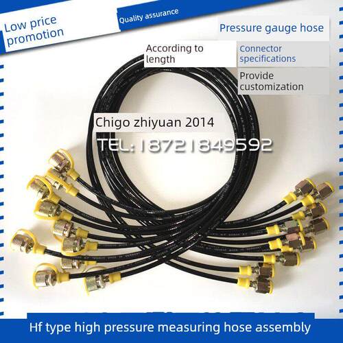 压力测量软管高压试管压力表Hfh2-P1 P2 P3-3-P-0.8/1.0/1.5/2.0