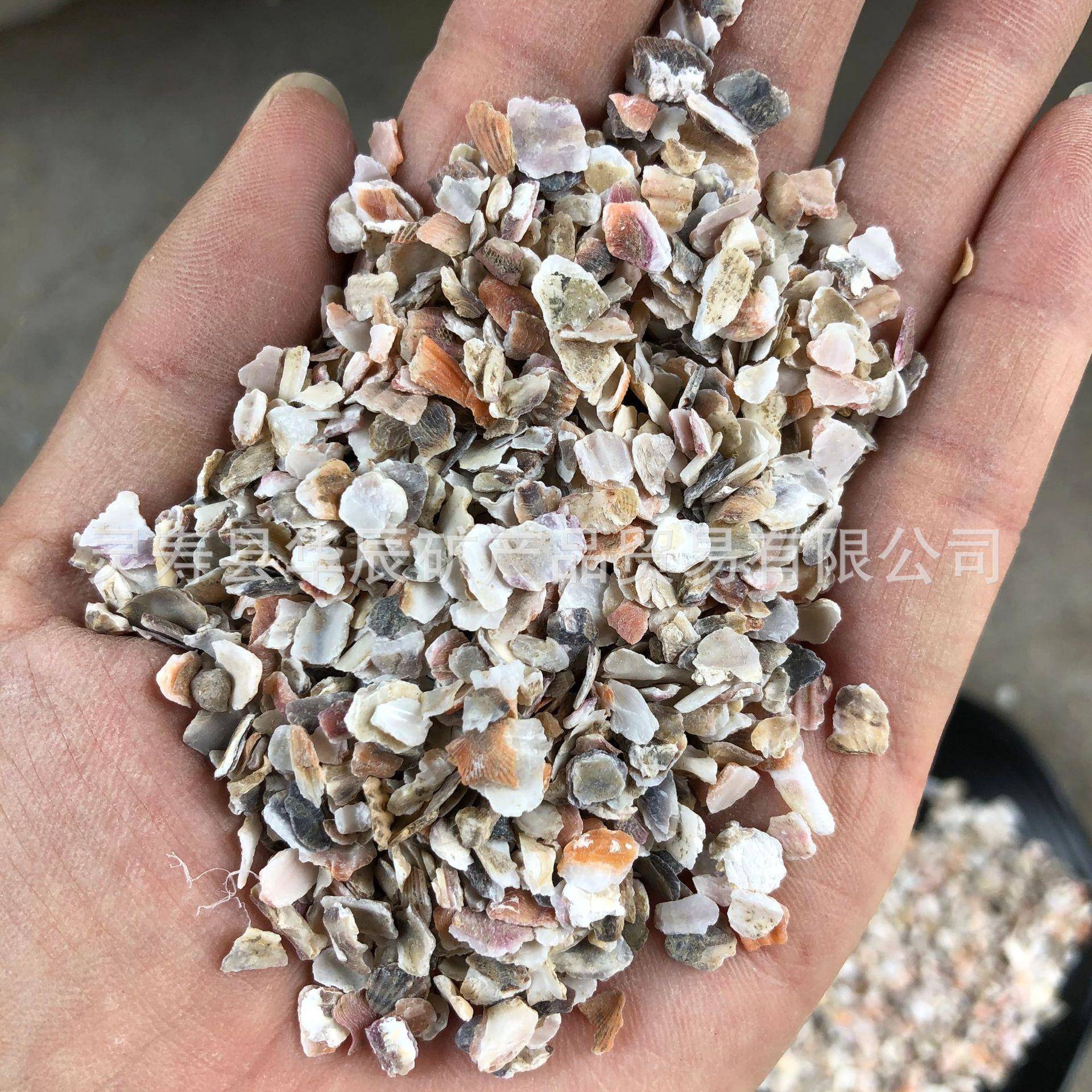 厂家供应海鲜池过滤用贝壳沙鸽子保健砂用贝壳砂贝壳碎片量大价优