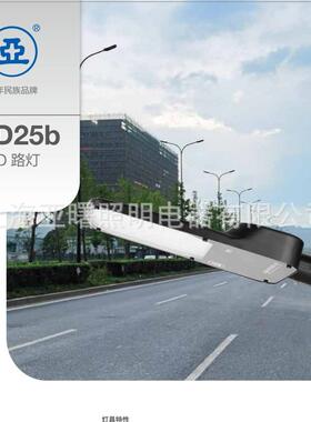 上海亚明LED路灯 亚牌ZD25b 50W 100W 150W 城市LED道路照明灯具