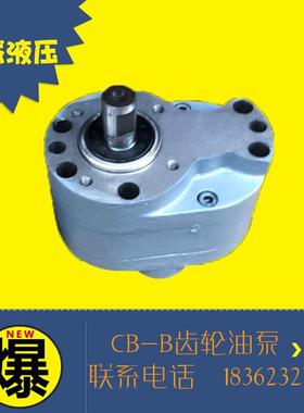 CB-B6/B2.5/B4/B10/B16/B25/B32/B50/B63/B80/B125FR钢齿轮油泵