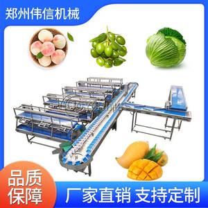 称重分选机果蔬重量分选机全自动果蔬分选机智能高效便捷食品级