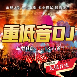 汽车载dj音乐U盘重低音嗨曲流行高音质电音舞曲车用炸街DJ