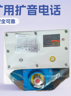 天津华宁KTK101-2(IY)-P-F-SH矿用本质安全型组合扩音电话 井下防