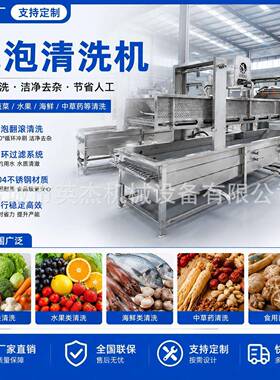 西兰花菜花气泡清洗机花椰菜去泥去杂清洗设备鼓泡喷淋洗菜线
