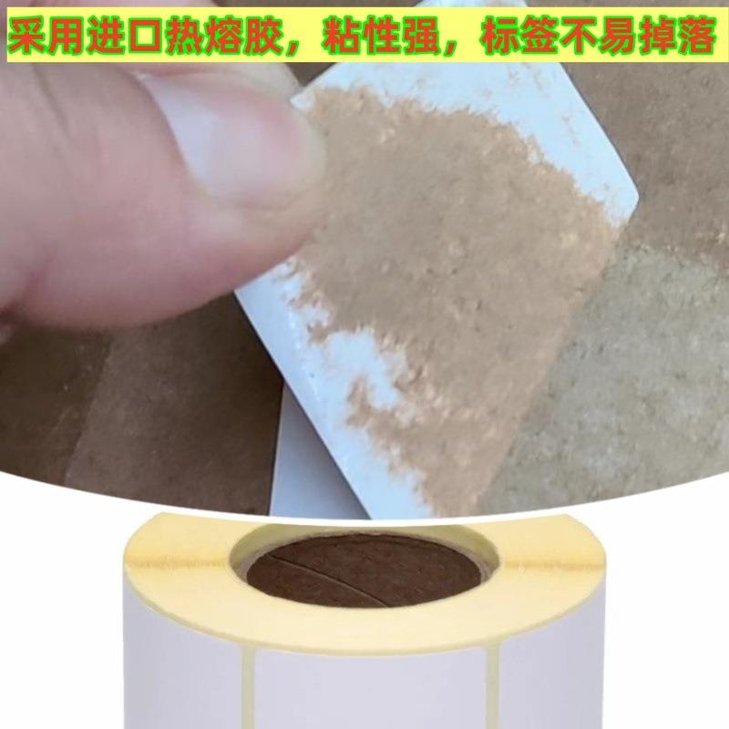 现货整箱黄底外贸热敏标签纸5840751204325三防热敏不干胶打印纸