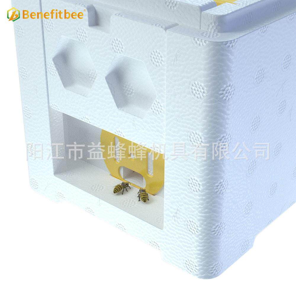跨境电商爆款 蜂王迷你交尾箱中蜂意蜂泡沫育王箱培育箱 蜂箱