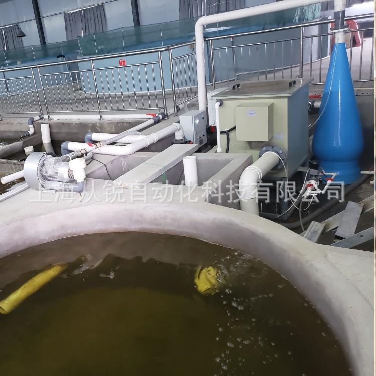 上海从锐海水鱼工厂化循环水养殖处理系统/工厂化循环水养殖系统
