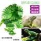 仿真水草塑料花植物爬宠装 饰植物盆景水族鱼缸造景藤条叶子带吸盘
