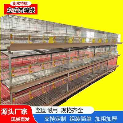 三层立体肉鸡笼蛋鸡笼鸡窝层叠式鸡笼镀锌丝加粗加厚养殖厂
