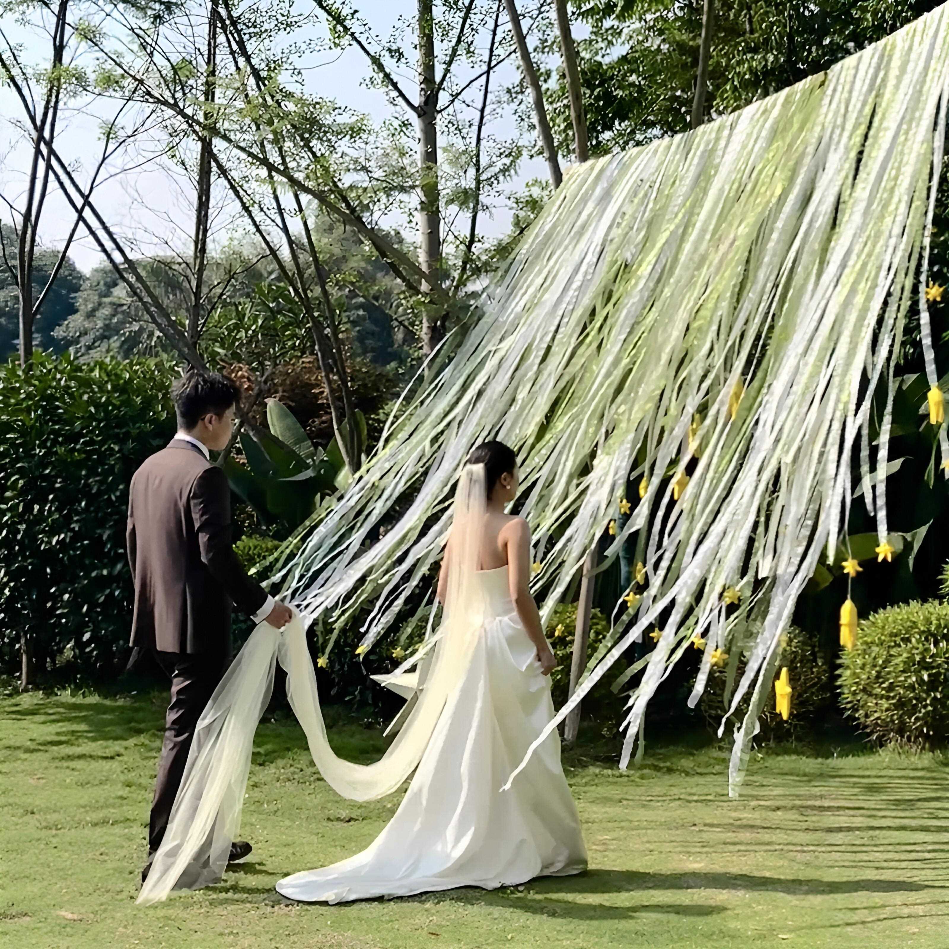 星星门帘草坪婚礼场景布置装饰创意DIY材料包氛围感拍照出片神器.