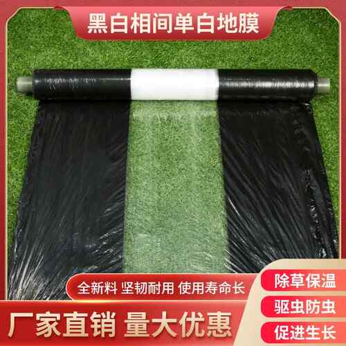 黑白相间地膜甘蔗草莓种土豆除草农业保温溥膜草莓专用保温农膜
