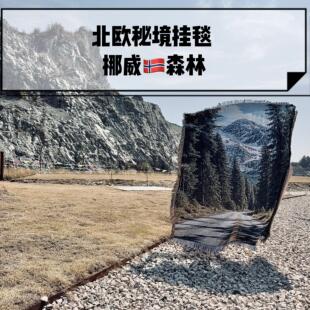 北欧风景挪威森林纽西兰大海南岛库克山 美国科罗拉多大峡谷 挂毯