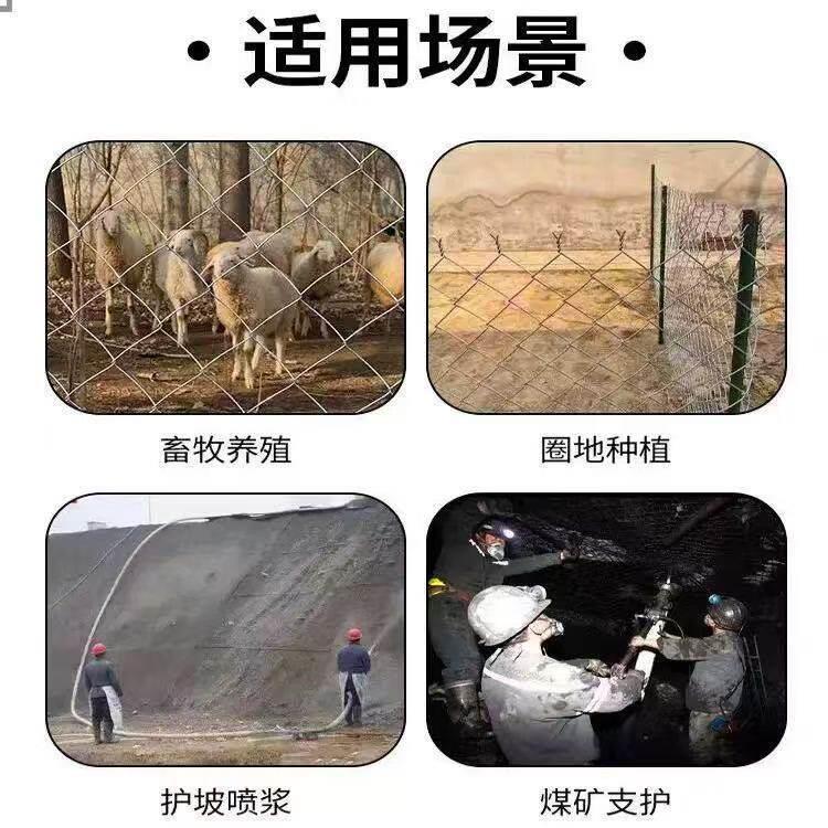 铁丝网喷播镀锌菱形喷锚绿化山坡挂网固土护坡钢丝网护坡固土网