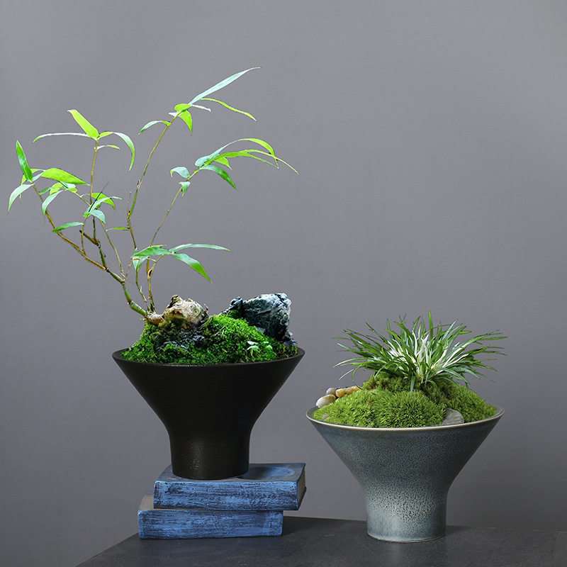 文竹菖蒲花盆陶瓷水培苔藓球盆栽个性巴西木桌面茶几盆景盆栽盆子