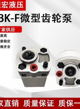 齿轮泵小型液压帮浦CBK-F2.1/1.6动力单元配件微型堆高机液压齿轮