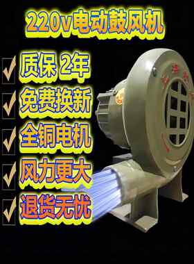 新龙鼓风机大功率强力吹风小型220v工业用家用商用拱门烧烤炉专用