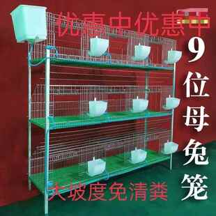 兔笼 养殖9位种兔笼子加粗加密免清粪热镀锌兔子笼母繁殖大子母笼