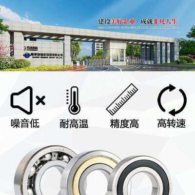 RYS 哈轴传动 6312 6313 6314 6315 ZZ 2RZ