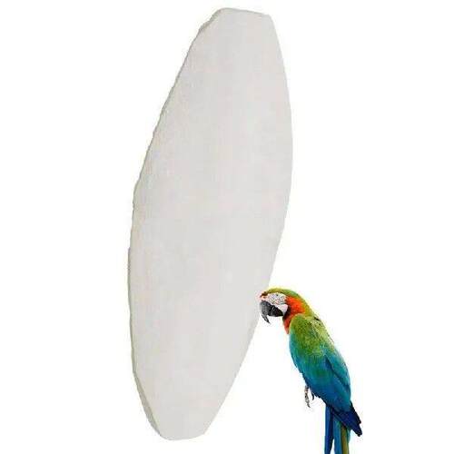 10pcs Chewing Cuttlefish Bone Bird Cuttlebone Toy Natural
