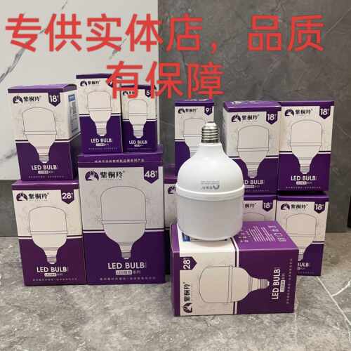 防水灯泡超亮LED球泡灯E27螺口光源LED灯白光5W/10W20W30W40W50W