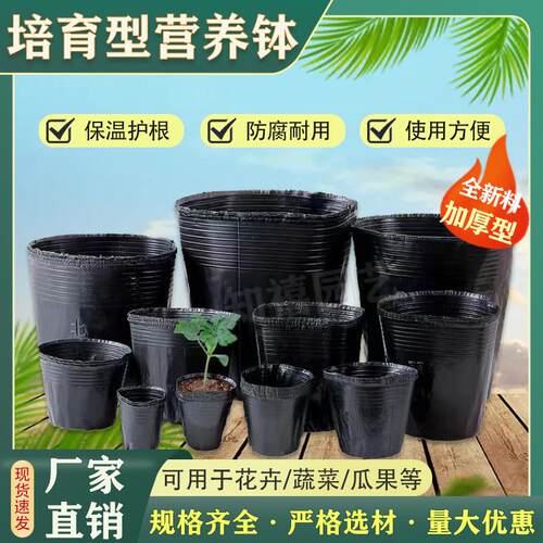 营养钵育苗杯加厚黑色一次性软塑花盆种植大号营养杯育苗盆育苗袋