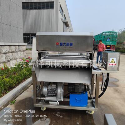 气泡清洗机 全自动大果清JPR洗机 现蔬货 厂家型销多功能直机械