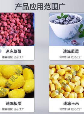 萄商番石榴葡用火流态化931速冻设备锅肉卷冷冻流水线羊肉速冻机