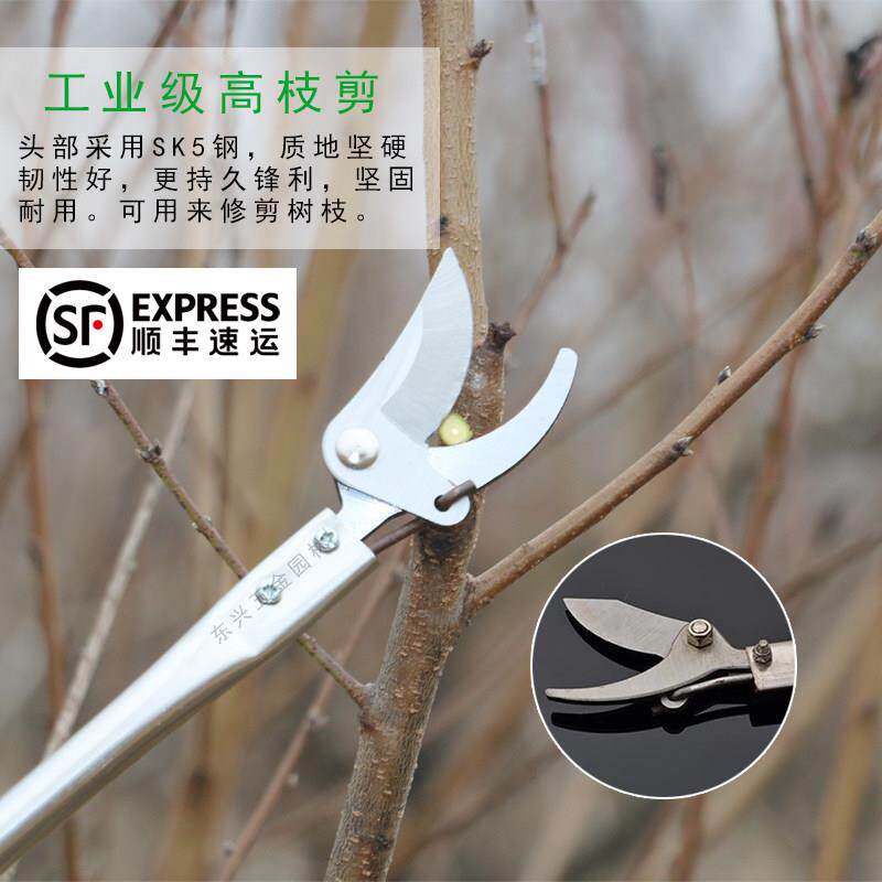 进口园林高枝剪修枝剪不锈钢剪刀修树剪疏花稀果剪高空剪修花剪刀