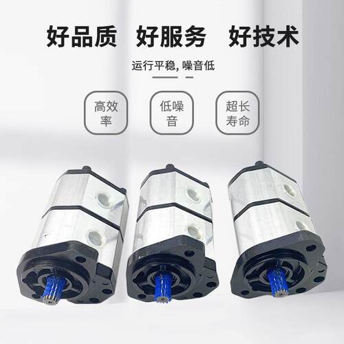 意大利罗茨齿轮泵05ZA系列高压低噪音液压外啮合齿轮油泵厂家直销
