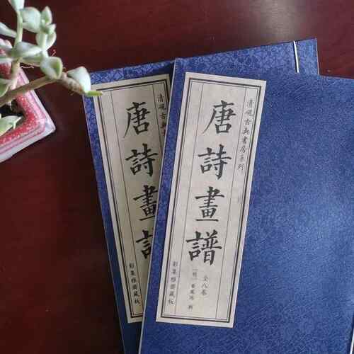 仿古线装书画册书法集祖像图宣纸古籍手工线装书仿古书古书