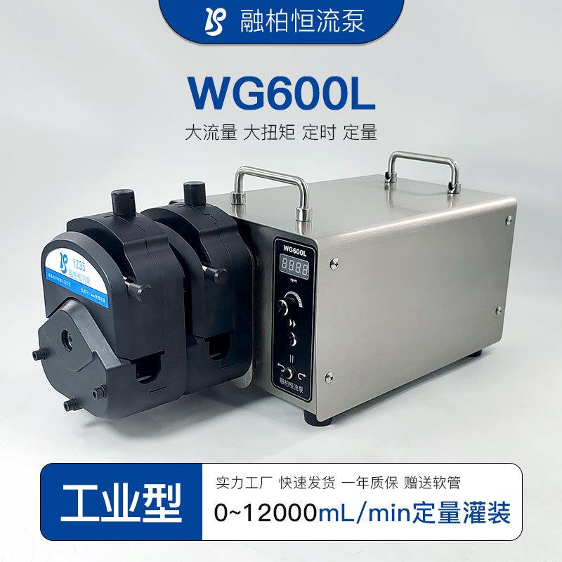 WG600工业蠕动泵大流量离心机给料发酵罐进样超滤柱输液喷雾干燥
