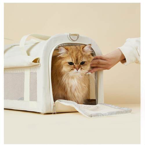 猫外出便携包单肩宠物包猫咪袋狗JCG狗包斜挎可手小体包透气轻狗