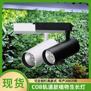 室内全光谱cob多肉植物生长灯 30w绿植物墙苗圃植物补光led轨道灯