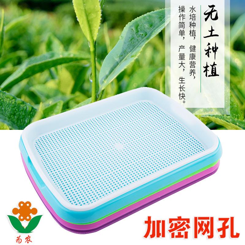 小麦水培植盆育苗种盆D4508纸上菜菜层芽苗菜种植盘双芽盘 加密