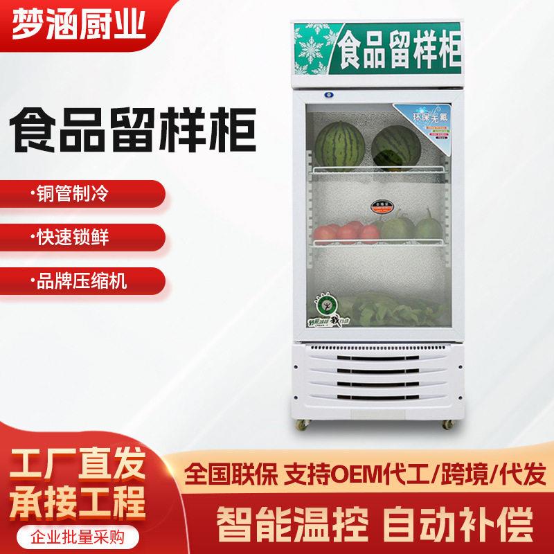 食品留样柜冷藏保鲜小型展示柜幼儿园酒店学校饭菜小型冰箱冰柜