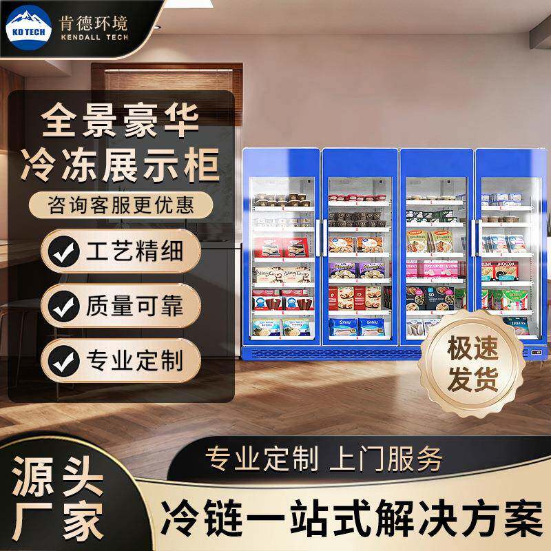 冷冻展示柜商用速冻柜急冻肉类冻品三门立式冰箱双门展示低温冰柜
