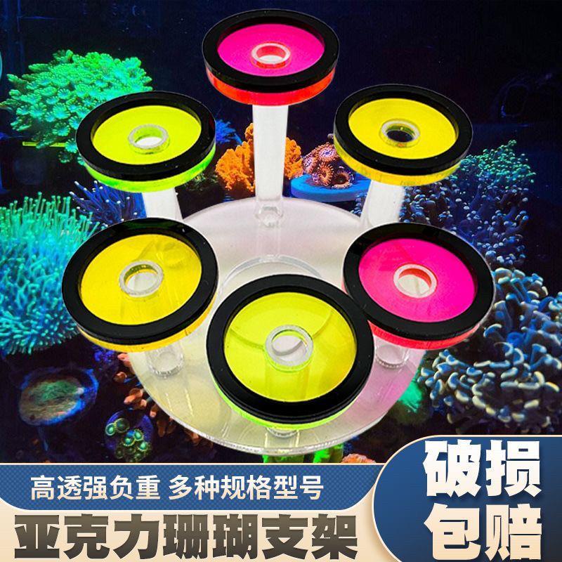 荧光珊瑚支架海缸发光亚克力架托盘托架繁殖圆形阶梯造景底座基座