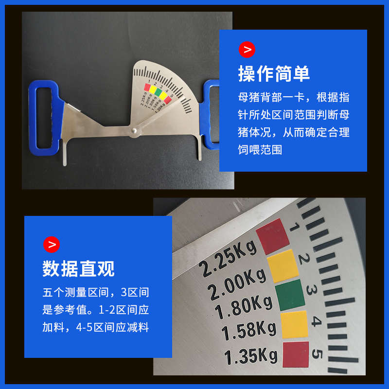 猪用饲喂卡尺不锈钢背膘测定尺喂料管理尺妊娠母猪膘情测定指导