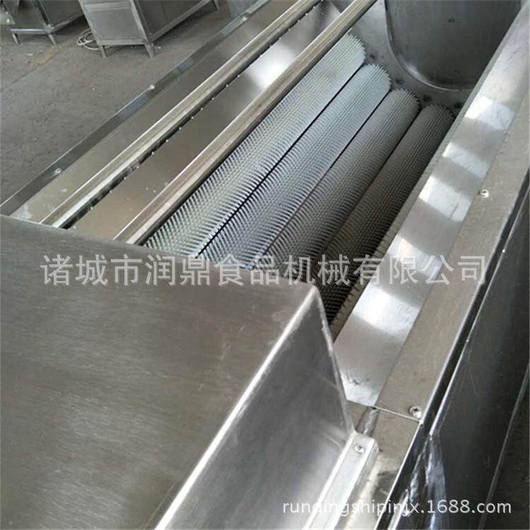 毛刷辊清洗机山东毛辊蔬菜清洗厂家小型毛辊清洗机价格