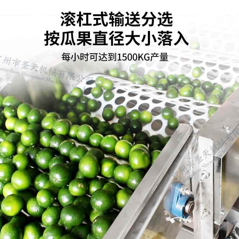 厂家应机果分选蜜RWL水橘果机大小分级机供果蔬橙子苹果柠檬圆形