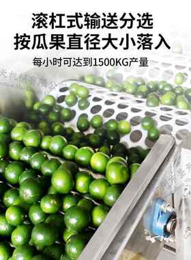 电分动龙大小级机筛圣女果蜜眼橘GVZ拣苹果柠檬果蔬选机鲜果