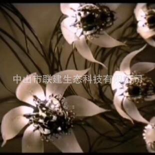 厂家直销 文旅互动灯光装置 机械控制LED 亚克力开合花灯园林景观