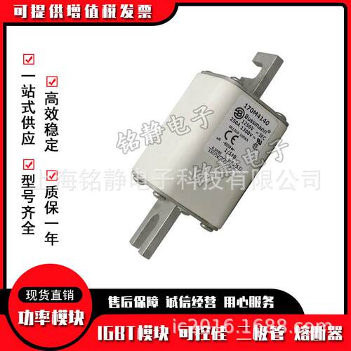 170M4008170M4009170M4010170M4011巴斯曼熔断器保险丝现货