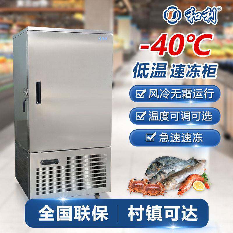 速冻柜商用立式-40度餐饮生鲜急冻海鲜食材饺子冷冻插盘冰箱冷柜