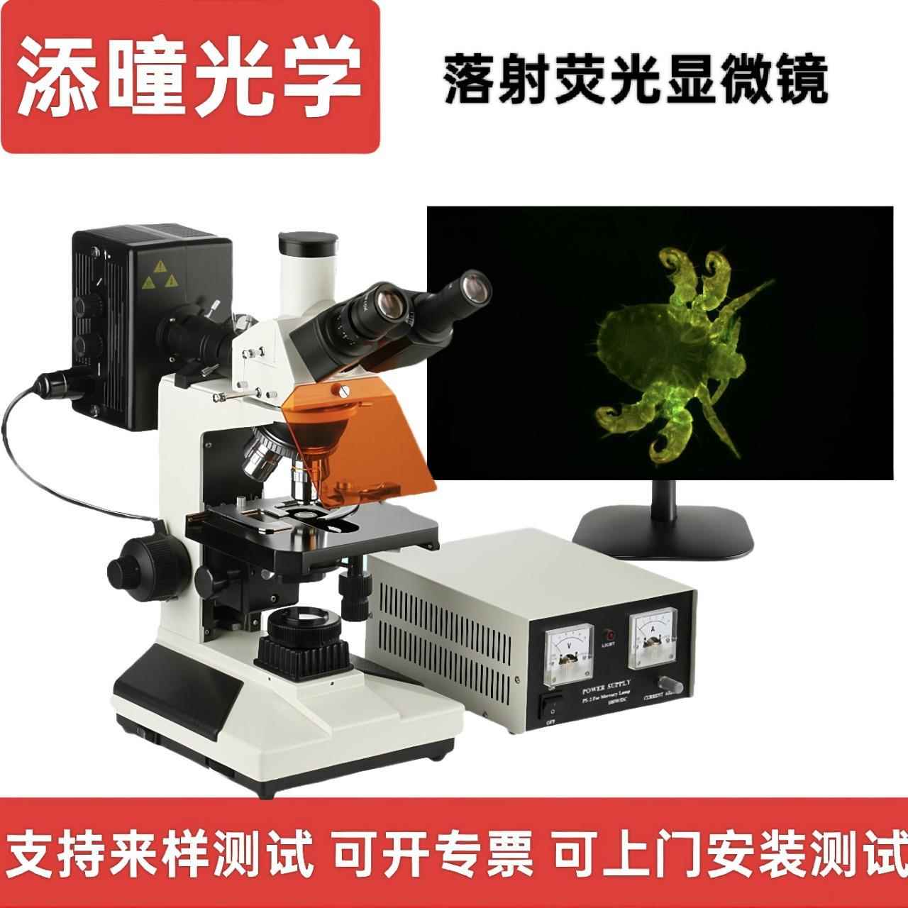 研究级正置荧光显微镜高校实验室生物研究所超清双目