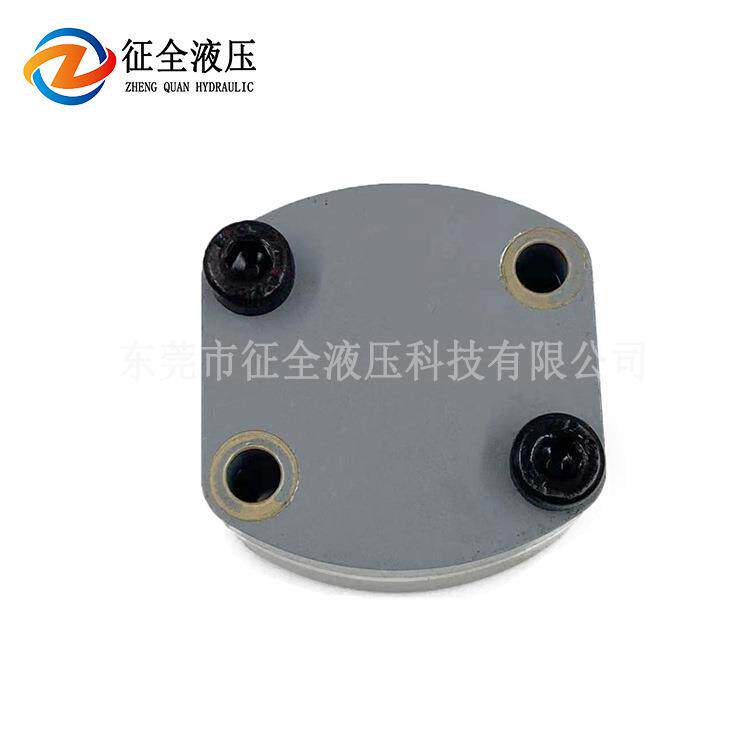 征全无人航拍飞机齿轮泵小型微型飞机燃油泵低压泵电动机系统油泵