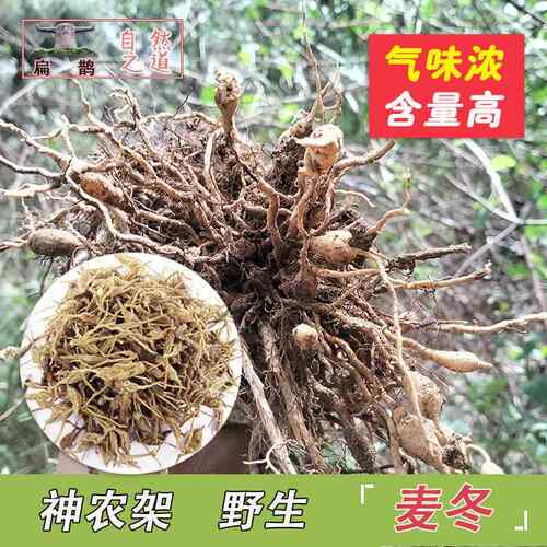 神农架 纯野生麦冬 100克麦门冬含量高晒干 干气味浓 包邮